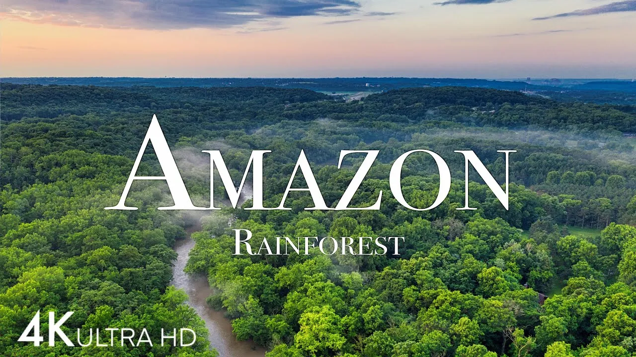 小格式自压 - 消失的部落：亚马逊雨林中的最后守望者